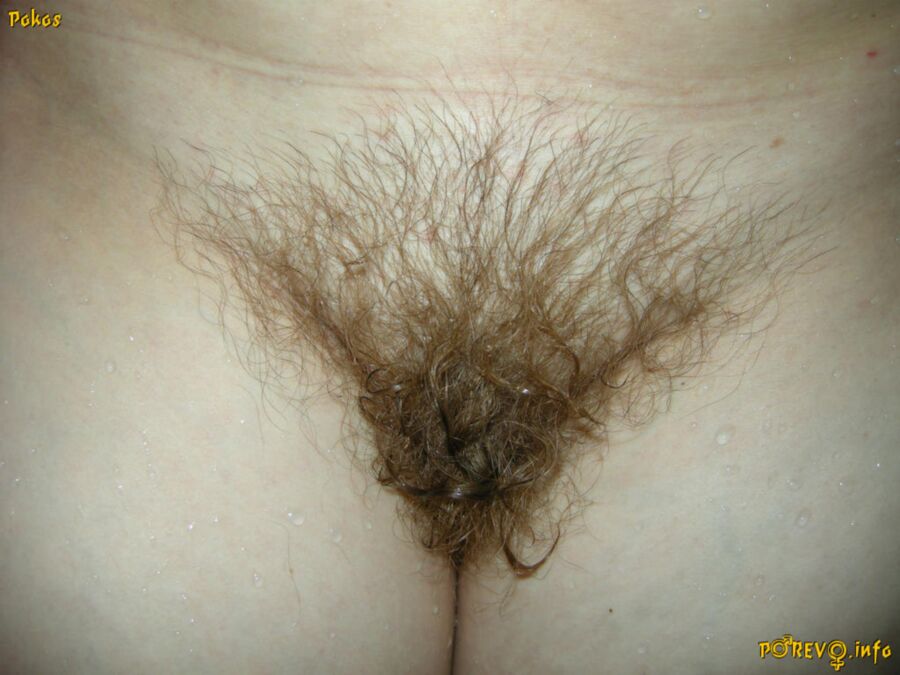 Free porn pics of Russian Hairy Mature Wifes 18 of 149 pics