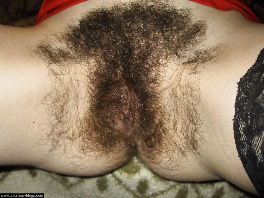 Free porn pics of vintage pics (hairy pussys) 13 of 21 pics