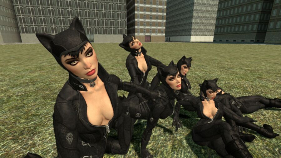 Free porn pics of Catwoman Harem 7 of 7 pics