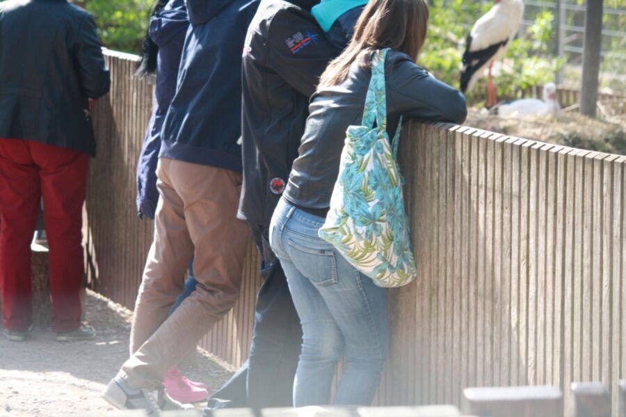Free porn pics of nice ass teen bitch candid at the zoo 6 of 12 pics