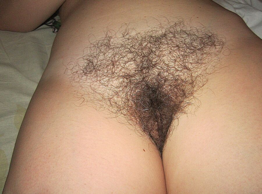 Free porn pics of My hairy wife passed out  8 of 13 pics