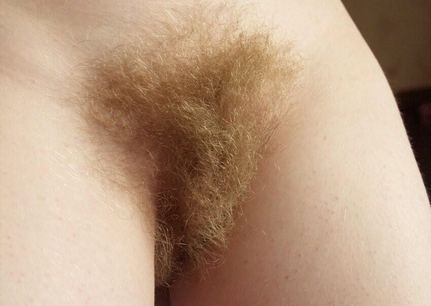 Free porn pics of huge Bushy Bearded vaginas 18 of 46 pics