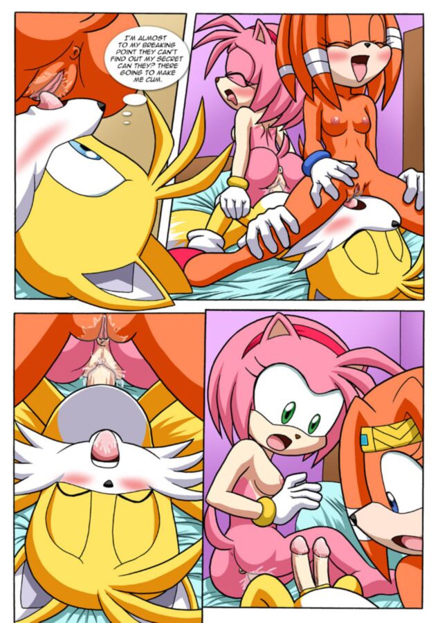 Free porn pics of Sonic Project XXX III Part II: Sonic the Hedgehog 9 of 17 pics