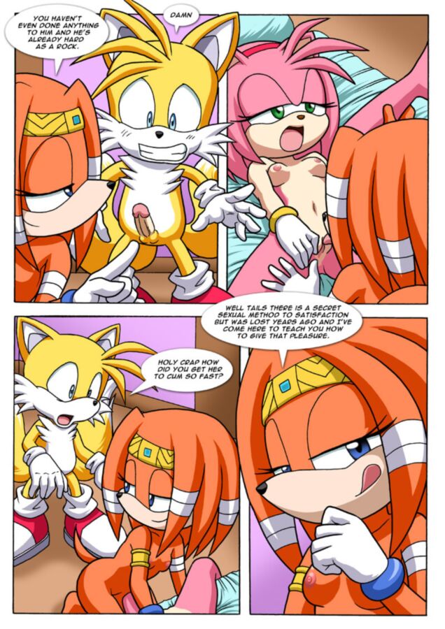Free porn pics of Sonic Project XXX III Part II: Sonic the Hedgehog 3 of 17 pics
