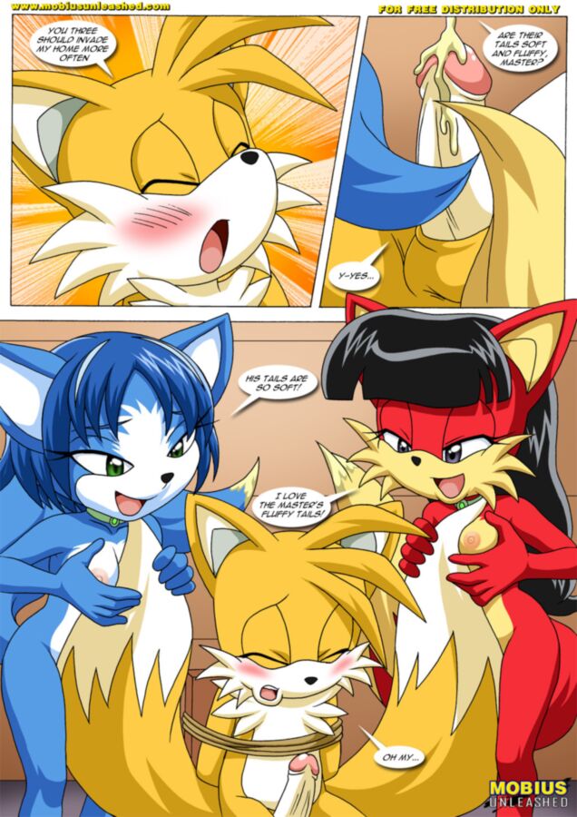 Free porn pics of FoXXXes: Sonic the Hedgehog/Star fox 24 of 40 pics