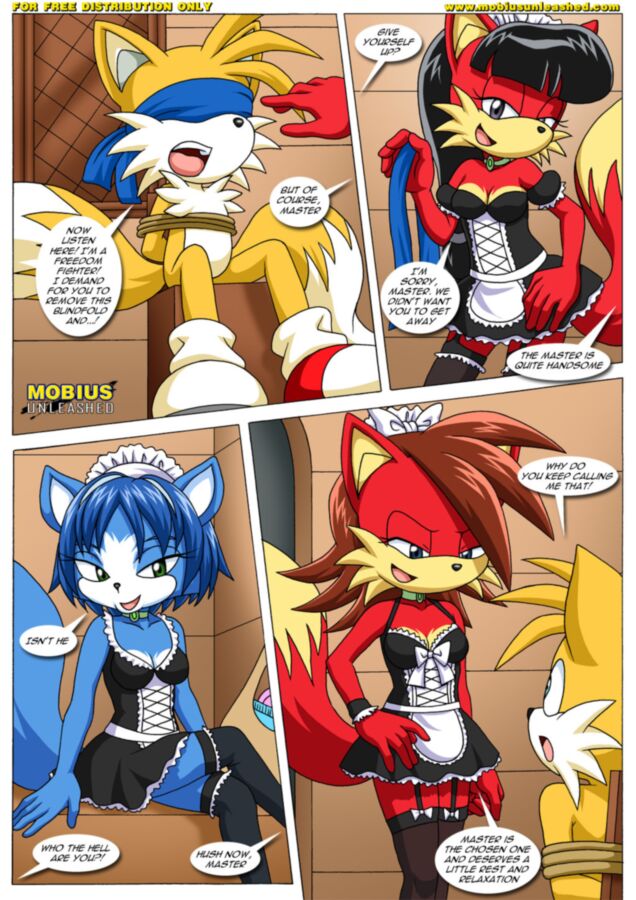 Free porn pics of FoXXXes: Sonic the Hedgehog/Star fox 21 of 40 pics