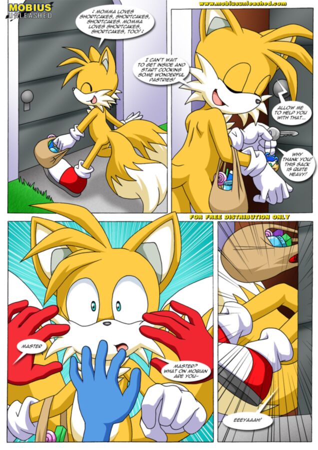 Free porn pics of FoXXXes: Sonic the Hedgehog/Star fox 20 of 40 pics