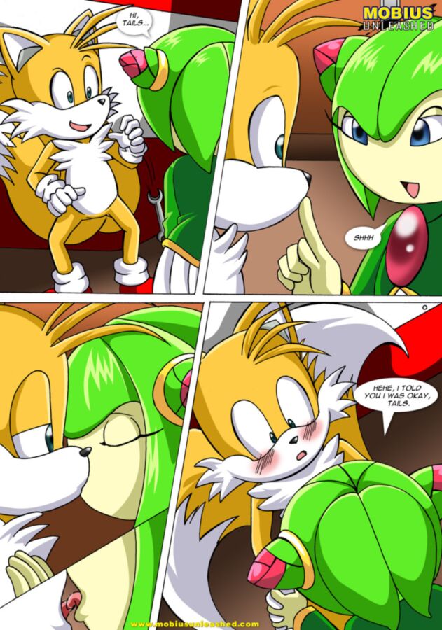 Free porn pics of Love Blooms: Sonic the Hedgehog 3 of 11 pics