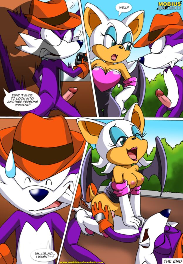 Free porn pics of Love Blooms: Sonic the Hedgehog 11 of 11 pics