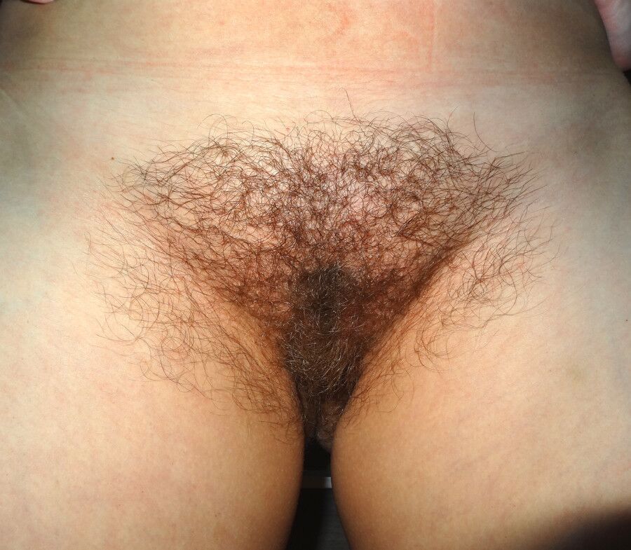 Free porn pics of Pussy style of this year 1 of 6 pics