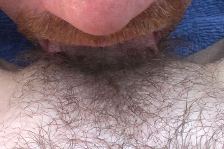 Free porn pics of My hairy pussy licked and tongued 2 of 28 pics