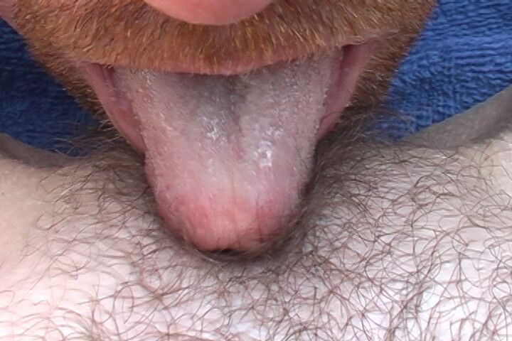 Free porn pics of My hairy pussy licked and tongued 14 of 28 pics
