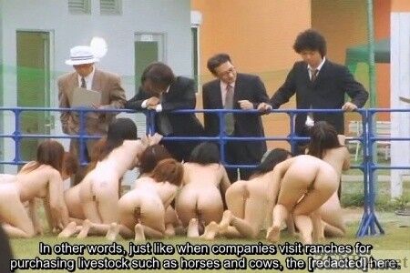 Free porn pics of Japanese Human Farm 13 of 26 pics