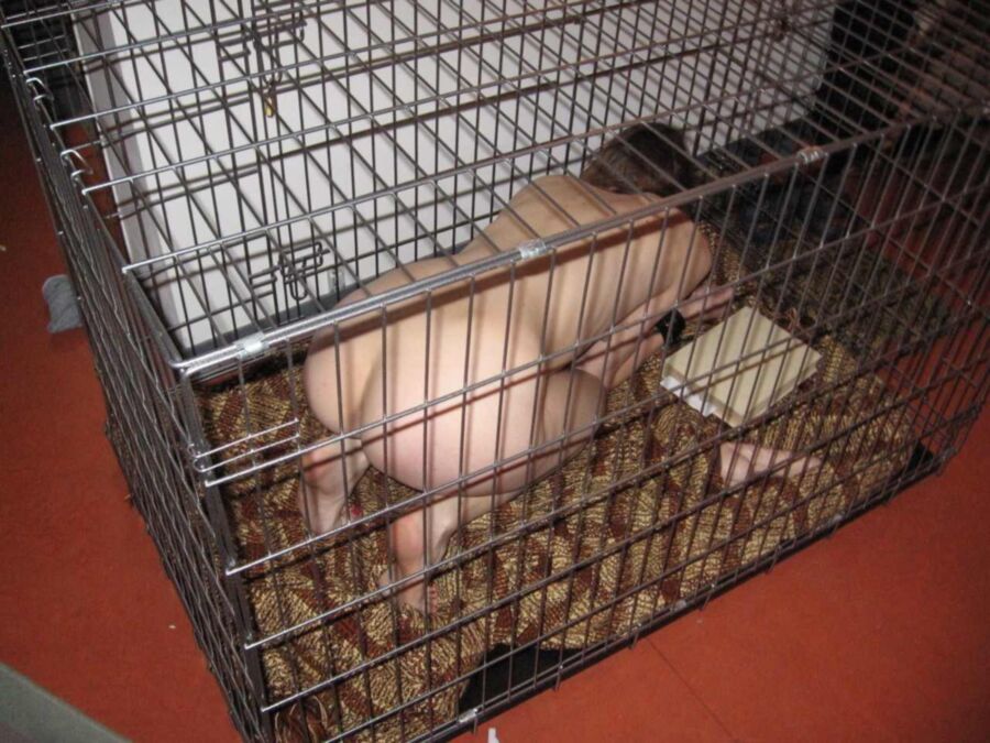 Free porn pics of I except my place is in a cage when not being used 1 of 3 pics