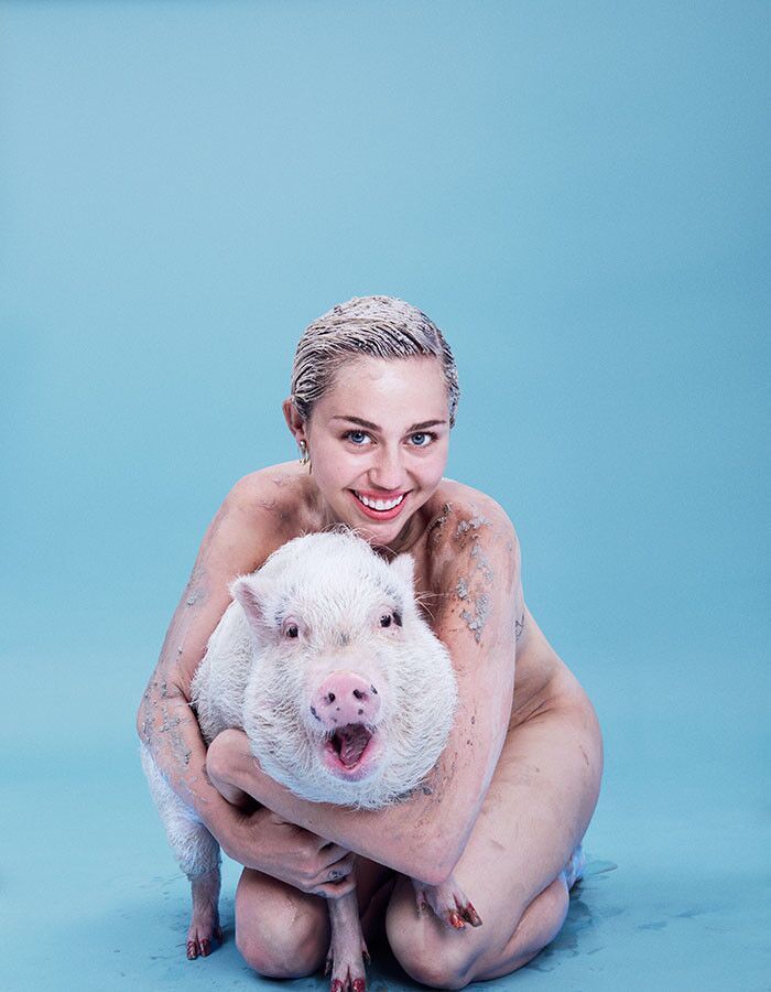 Free porn pics of Miley Cyrus Nude pics(paper magazine) 7 of 8 pics