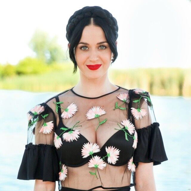 Free porn pics of Katy Perry See Through Shirt at Coachella 4 of 12 pics