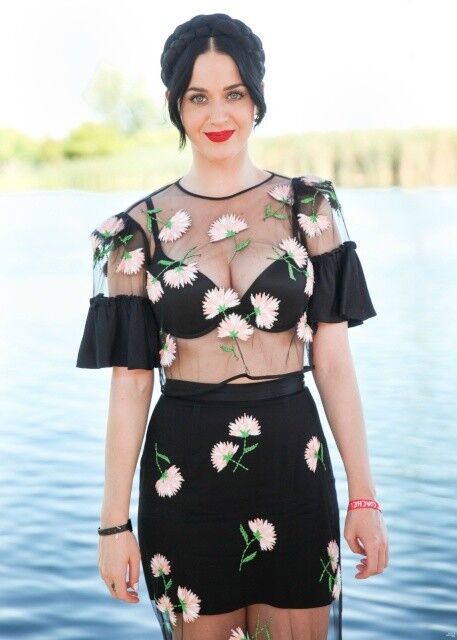 Free porn pics of Katy Perry See Through Shirt at Coachella 5 of 12 pics