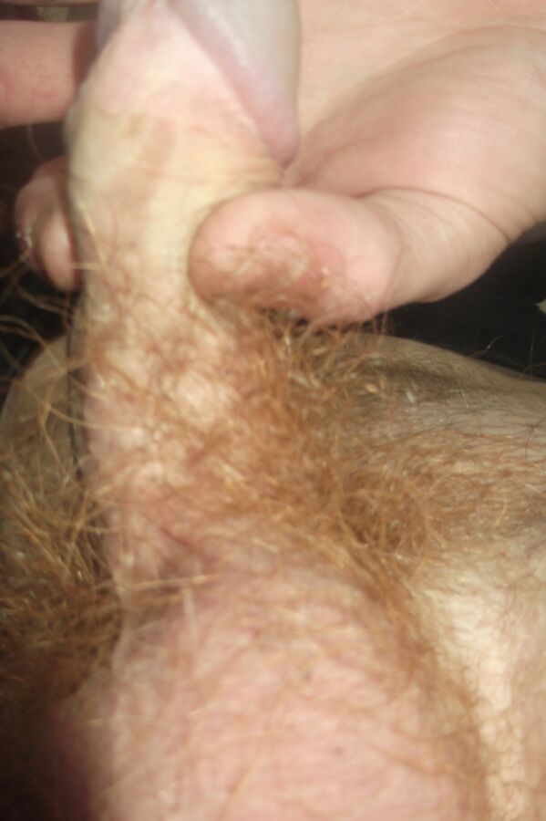 Free porn pics of Hairiest Dick in the World! Check out my furry ginger pubes cove 4 of 53 pics