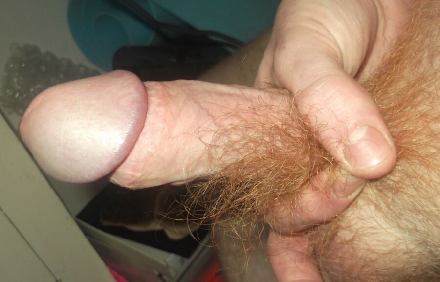 Free porn pics of Hairiest Dick in the World! Check out my furry ginger pubes cove 24 of 53 pics